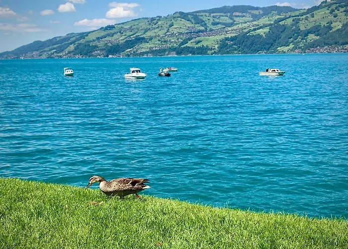 아파트 Amazing Eiger