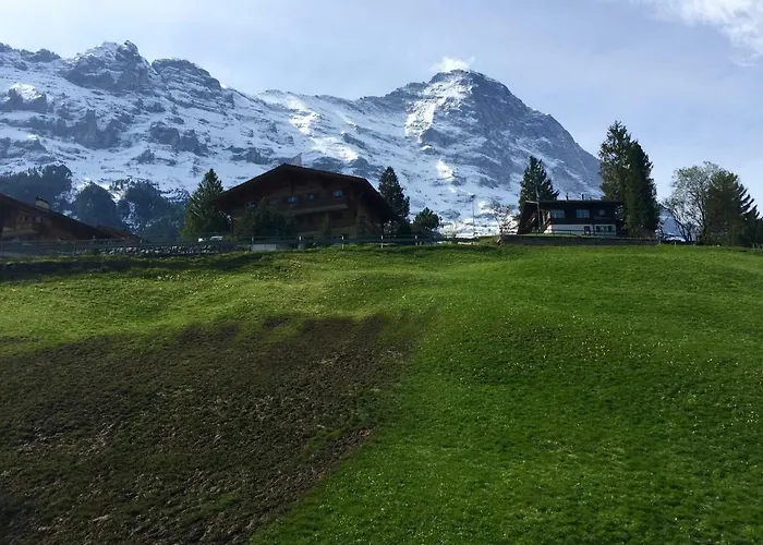 Amazing Eiger Апартаменти Гріндельвальд